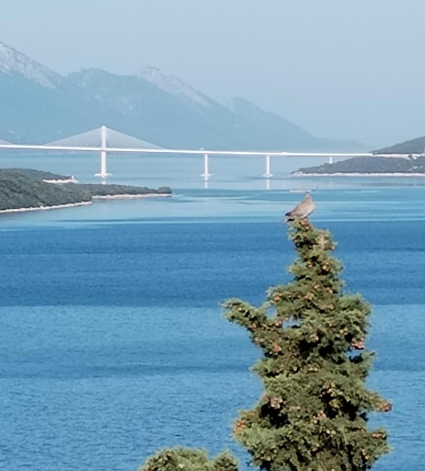 Apartment And Rooms Barbaric Neum Εξωτερικό φωτογραφία